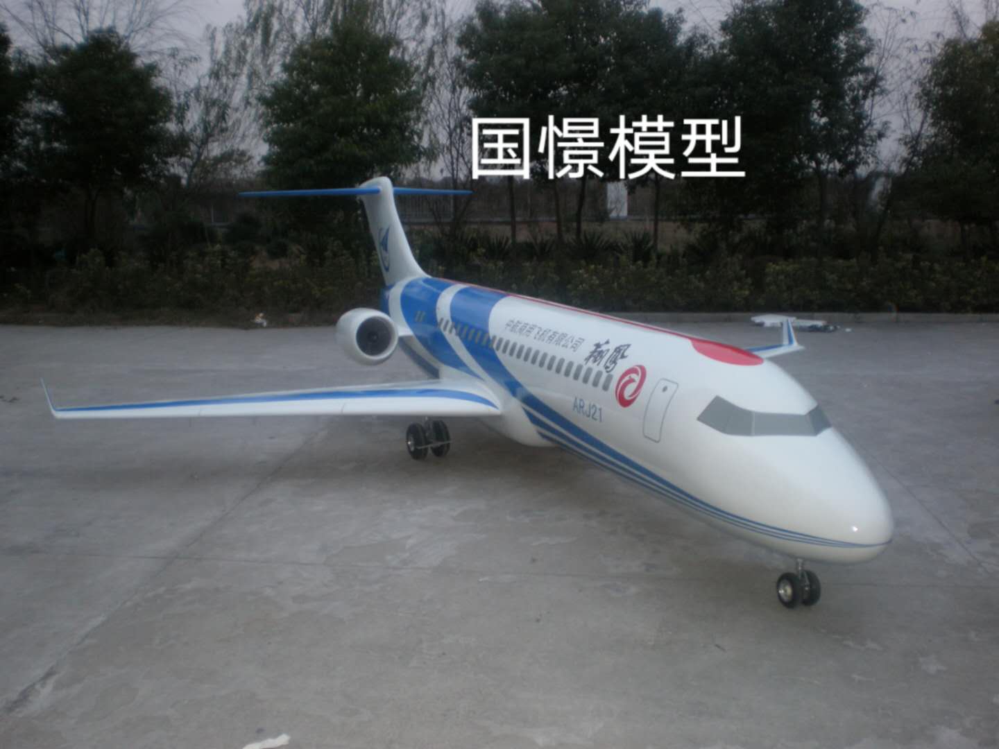 黄骅市飞机模型
